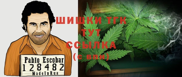 дживик Абинск