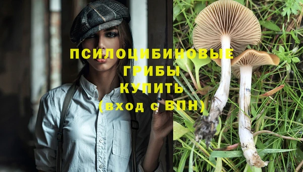 герыч Абаза