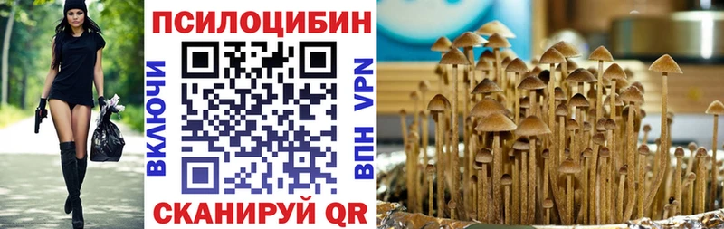 Галлюциногенные грибы мицелий  купить закладку  Чулым 